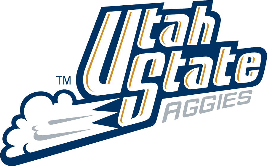 Utah State Aggies 1995-2001 Wordmark Logo diy DTF decal sticker